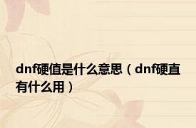 dnf硬值是什么意思（dnf硬直有什么用）