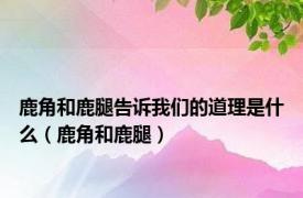 鹿角和鹿腿告诉我们的道理是什么（鹿角和鹿腿）