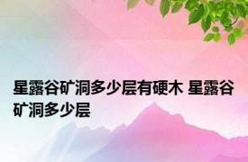 星露谷矿洞多少层有硬木 星露谷矿洞多少层