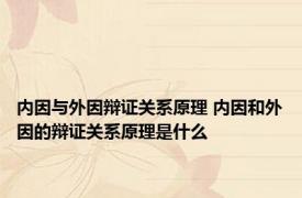 内因与外因辩证关系原理 内因和外因的辩证关系原理是什么