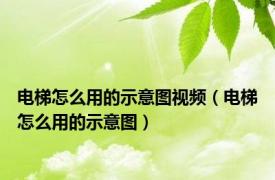 电梯怎么用的示意图视频（电梯怎么用的示意图）