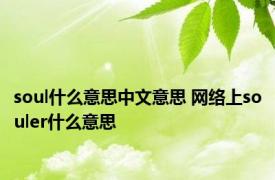 soul什么意思中文意思 网络上souler什么意思