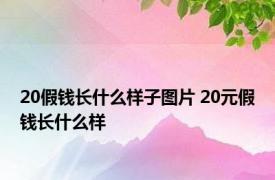 20假钱长什么样子图片 20元假钱长什么样