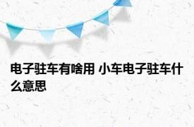 电子驻车有啥用 小车电子驻车什么意思