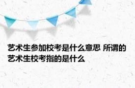 艺术生参加校考是什么意思 所谓的艺术生校考指的是什么