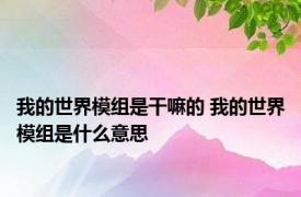 我的世界模组是干嘛的 我的世界模组是什么意思