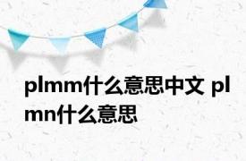 plmm什么意思中文 plmn什么意思