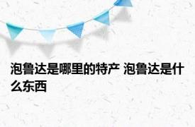 泡鲁达是哪里的特产 泡鲁达是什么东西