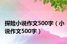 探险小说作文500字（小说作文500字）