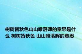 树树皆秋色山山唯落晖的意思是什么 树树皆秋色 山山唯落晖的意思