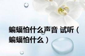 蝙蝠怕什么声音 试听（蝙蝠怕什么）