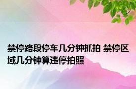 禁停路段停车几分钟抓拍 禁停区域几分钟算违停拍照