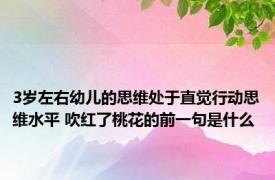 3岁左右幼儿的思维处于直觉行动思维水平 吹红了桃花的前一句是什么