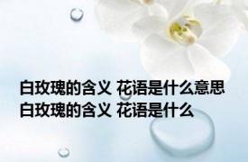 白玫瑰的含义 花语是什么意思 白玫瑰的含义 花语是什么