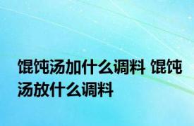 馄饨汤加什么调料 馄饨汤放什么调料