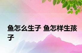 鱼怎么生子 鱼怎样生孩子