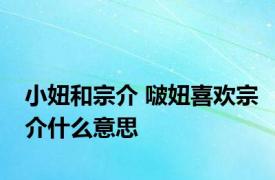 小妞和宗介 啵妞喜欢宗介什么意思