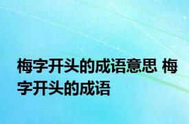 梅字开头的成语意思 梅字开头的成语