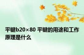 平键b20×80 平键的用途和工作原理是什么