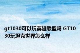 gt1030可以玩英雄联盟吗 GT1030玩坦克世界怎么样