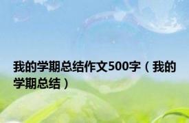 我的学期总结作文500字（我的学期总结）