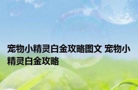 宠物小精灵白金攻略图文 宠物小精灵白金攻略 