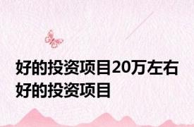 好的投资项目20万左右 好的投资项目 