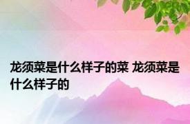 龙须菜是什么样子的菜 龙须菜是什么样子的