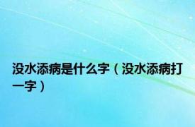 没水添病是什么字（没水添病打一字）