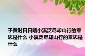 子黄时日日晴小溪泛尽却山行的意思是什么 小溪泛尽却山行的意思是什么