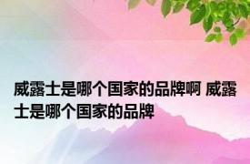 威露士是哪个国家的品牌啊 威露士是哪个国家的品牌