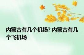 内蒙古有几个机场? 内蒙古有几个飞机场