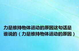 力是维持物体运动的原因这句话是谁说的（力是维持物体运动的原因）