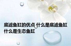 底滤鱼缸的优点 什么是底滤鱼缸什么是生态鱼缸