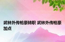 武林外传枪豪转职 武林外传枪豪加点 