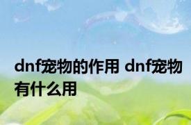 dnf宠物的作用 dnf宠物有什么用 