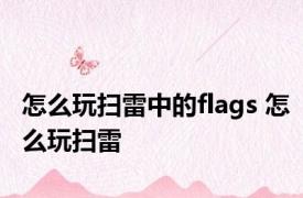 怎么玩扫雷中的flags 怎么玩扫雷