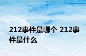 212事件是哪个 212事件是什么