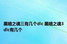 黑暗之魂三有几个dlc 黑暗之魂3dlc有几个