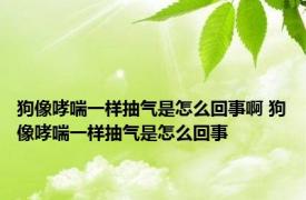 狗像哮喘一样抽气是怎么回事啊 狗像哮喘一样抽气是怎么回事