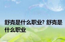 舒克是什么职业? 舒克是什么职业