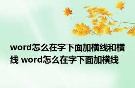 word怎么在字下面加横线和横线 word怎么在字下面加横线