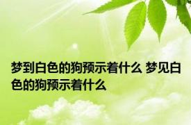 梦到白色的狗预示着什么 梦见白色的狗预示着什么