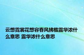 云想霓裳花想容春风拂槛露华浓什么意思 露华浓什么意思