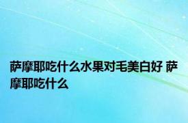 萨摩耶吃什么水果对毛美白好 萨摩耶吃什么 