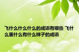 飞什么什么什么的成语有哪些 飞什么重什么有什么样子的成语