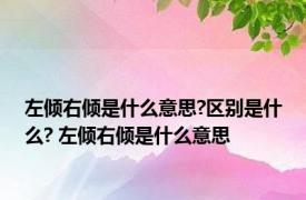 左倾右倾是什么意思?区别是什么? 左倾右倾是什么意思