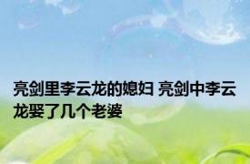 亮剑里李云龙的媳妇 亮剑中李云龙娶了几个老婆