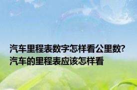 汽车里程表数字怎样看公里数? 汽车的里程表应该怎样看