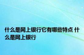 什么是网上银行它有哪些特点 什么是网上银行